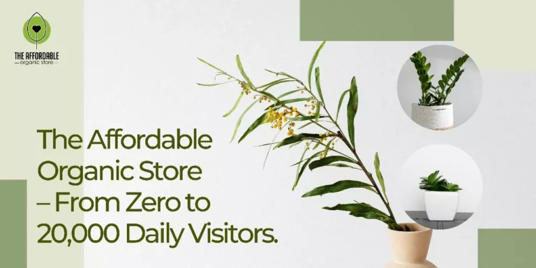 The Affordable Organic Store – From Zero to 20,000 Daily Visitors